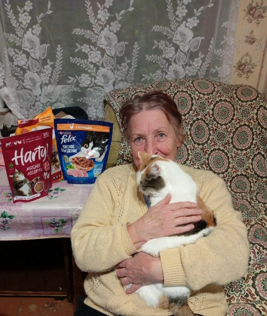 Тверские зооволонтеры подвели итоги проекта «Бабушка для кошки» Тверские зооволонтеры подвели итоги проекта «Бабушка для кошки»