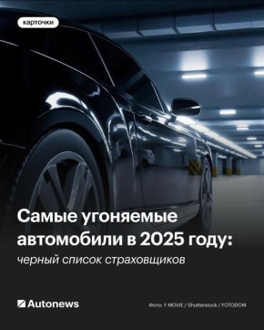     2025 