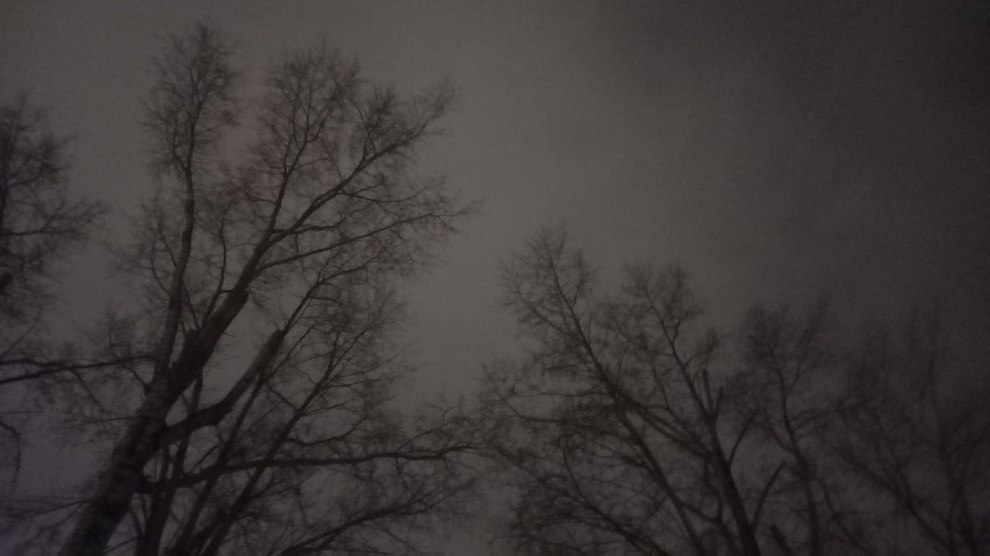 Ночью в Тверской области сбили шесть украинских беспилотников