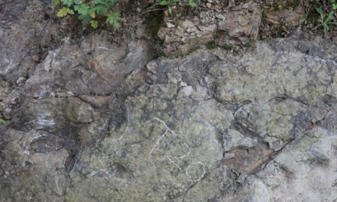 Китайские палеонтологи обнаружили отпечатки динозавров возрастом 200 млн лет