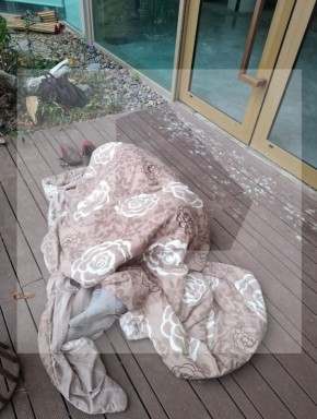 "Он называет себя "Ветер": петербуржец с просроченной визой поменял имя и бомжует в Таиланде