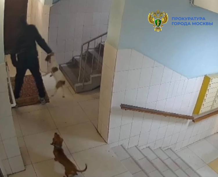 Пьяной женщине, которая избила собаку в подъезде жилого дома в Москве, назначили штраф, сообщили в столичной прокуратуре Пьяной женщине, которая избила собаку в подъезде жилого дома в Москве, назначили штраф, сообщили в столичной прокуратуре