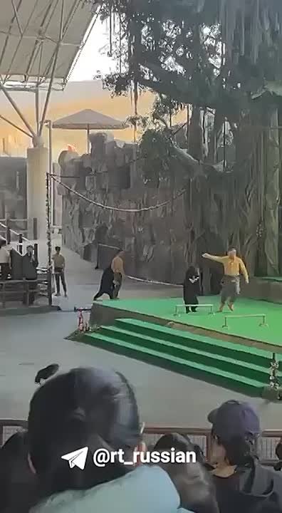 Медведь напал на дрессировщика во время шоу в сафари-парке в Китае