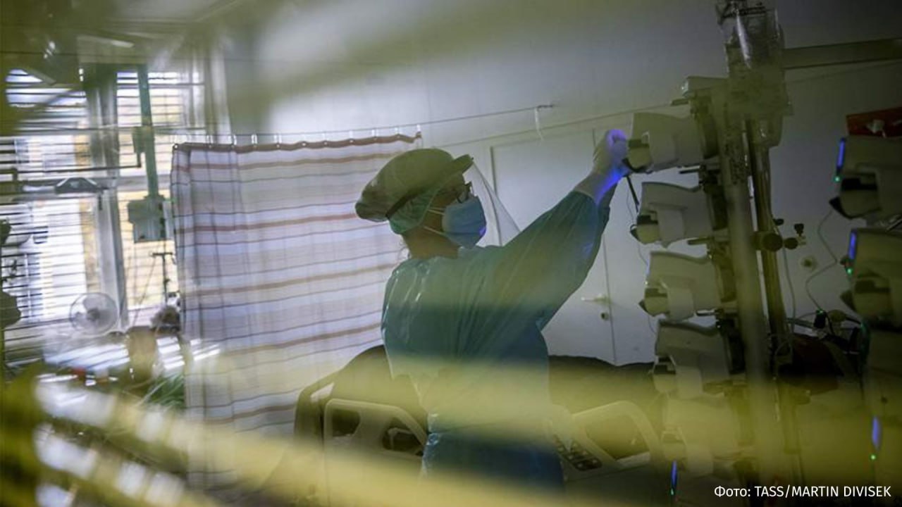 Более 30 человек погибло из-за эпидемии гепатита А в Чехии