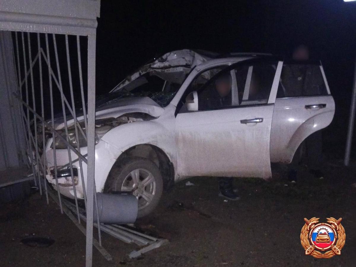 В Тверской области легковушка сбила лося и врезалась в остановку