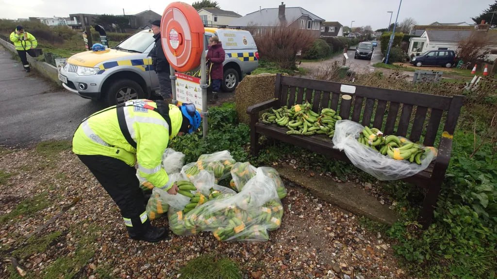 Побережье Великобритании превратилось в тропической рынок: тысячи бананов выбросило на берег после аварии на грузовом судне Побережье Великобритании превратилось в тропической рынок: тысячи бананов выбросило на берег после аварии на грузовом судне