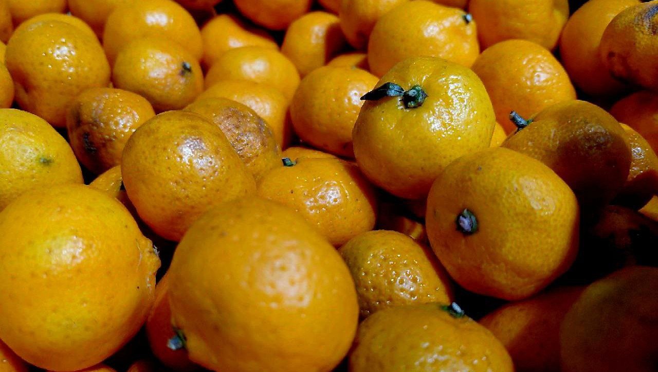 Какие мандарины продают в Тверской области и как их выбирать: советы экспертов