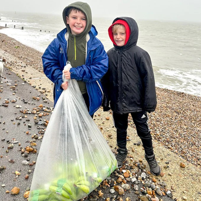 Побережье Великобритании превратилось в тропической рынок: тысячи бананов выбросило на берег после аварии на грузовом судне Побережье Великобритании превратилось в тропической рынок: тысячи бананов выбросило на берег после аварии на грузовом судне