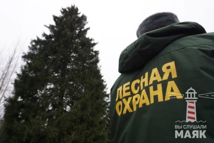 Через два дня в Кремле станет на одну елку больше