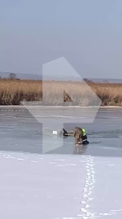 В Приморском крае мужчина ушел под лед на квадрацикле — спасший его рыбак Александр рассказал РЕН ТВ о произошедшем