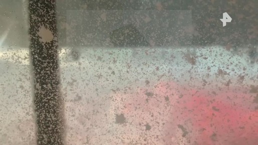 "Товарищи мужики, давайте толкнем автобус!": непогода обрушилась на Петропавловск-Камчатский, осложнив ситуацию на дорогах