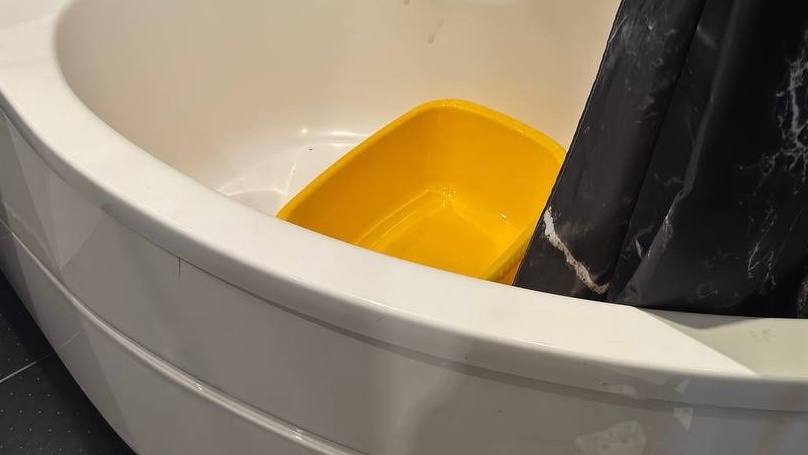 Утопила новорожденного сына: блогер и автор курса по родовой системе убила собственного ребенка в тазу с водой, сообщили в Следкоме Петербурга Утопила новорожденного сына: блогер и автор курса по родовой системе убила собственного ребенка в тазу с водой, сообщили в Следкоме Петербурга