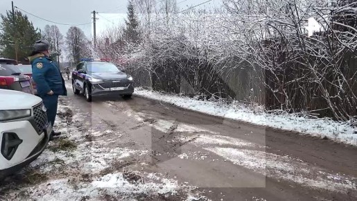 На кадрах РЕН ТВ — место крушения судна Ан-22, рухнувшего в Ивановской области