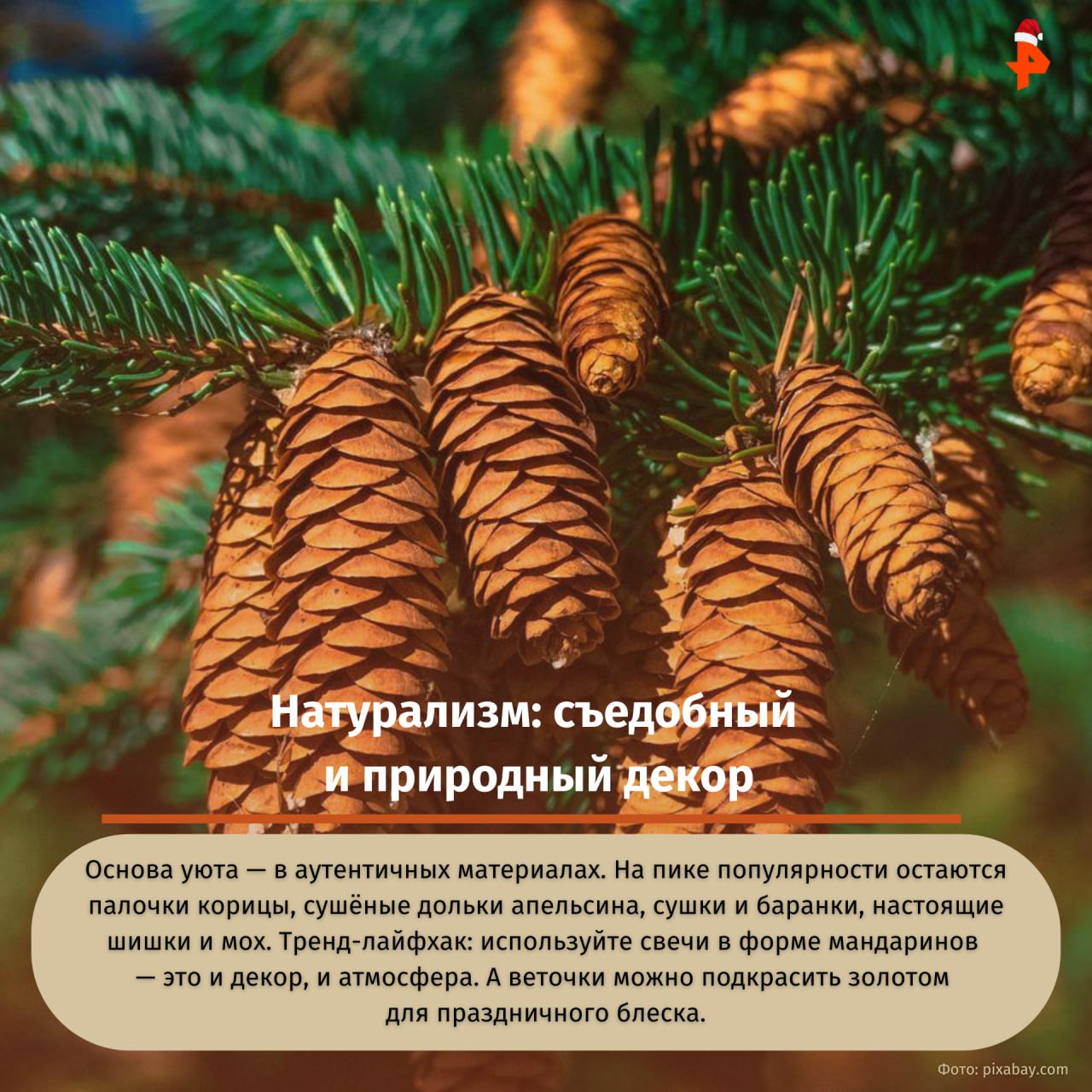 Готовы обновить праздничный декор, но не знаете, куда движется мода? Серебро и минимализм уступают место теплу, текстурам и личным историям Готовы обновить праздничный декор, но не знаете, куда движется мода? Серебро и минимализм уступают место теплу, текстурам и личным историям