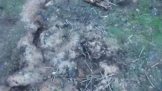 Дмитрий Стешин: Наши подступили к Орехову, на Запорожском направлении