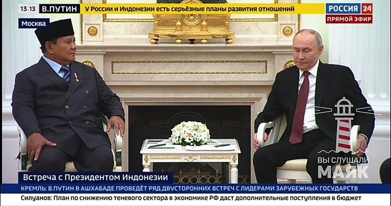 Путин на встрече с президентом Индонезии отметил отношения в военно-технической сфере