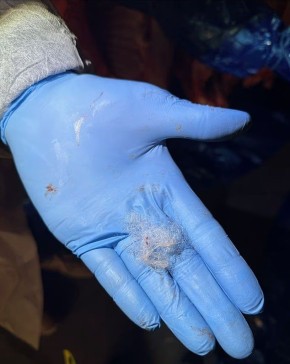 Из-за комочка шерсти поставка мяса на миллион фунтов стерлингов из Британии может быть утилизирована