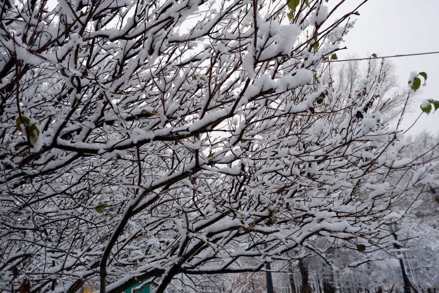 МЧС Тверской области предупреждает об ухудшении погодных условий