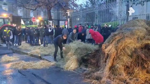 Битва за коров продолжается: более 440 французских фермеров требуют изменить стратегию борьбы с болезнью скота в Арьеже