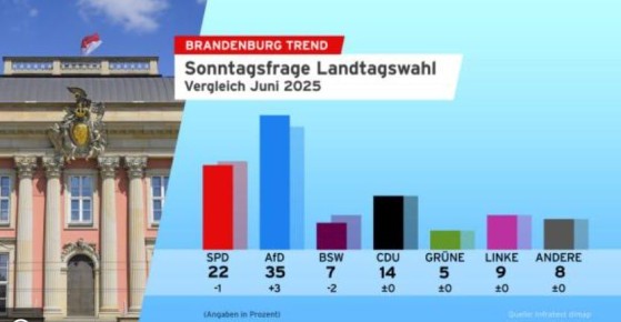 Бранденбург пополнил список федеральных земель, где АдГ стремится к 40%