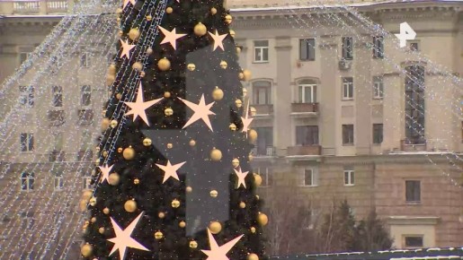 Пока люди пытаются справиться с новыми погодными условиями, внезапно накрывшими страну, — экзотические животные радуются первому снегу в зоопарках России