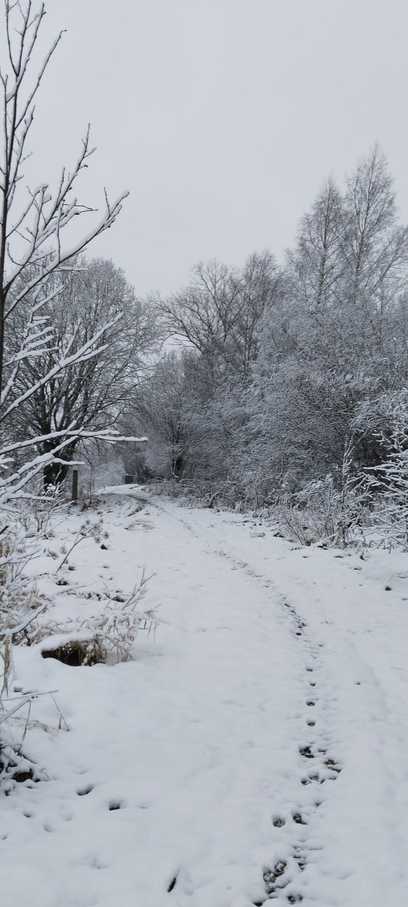 Стало известно, где в Тверской области есть снег Стало известно, где в Тверской области есть снег