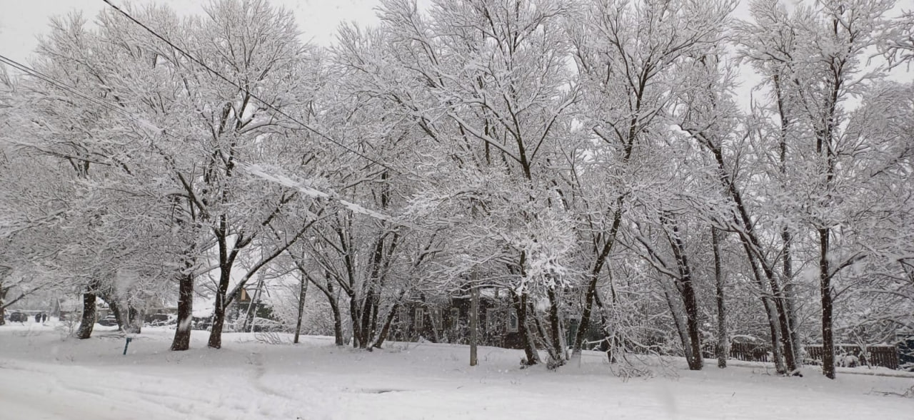 Прошлогодний декабрь. В этом году больше похоже на 44 ноября, чем на зиму Прошлогодний декабрь. В этом году больше похоже на 44 ноября, чем на зиму