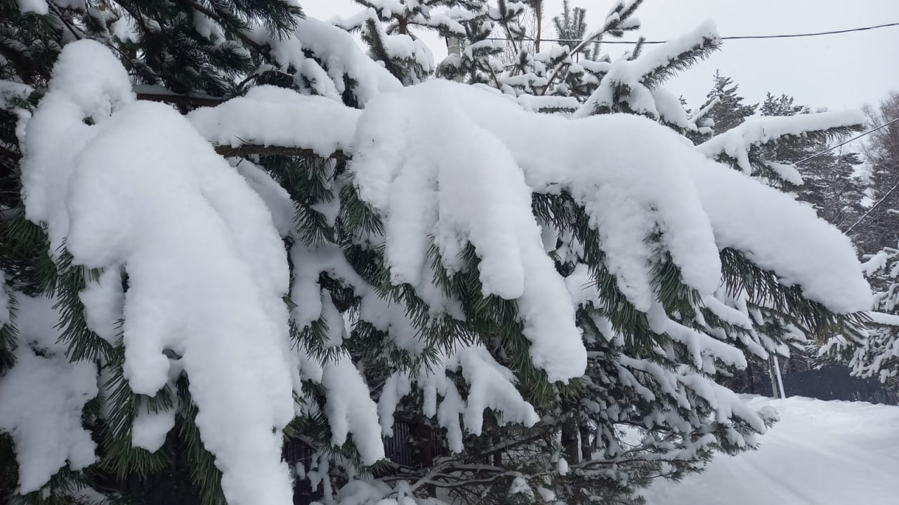 Прошлогодний декабрь. В этом году больше похоже на 44 ноября, чем на зиму Прошлогодний декабрь. В этом году больше похоже на 44 ноября, чем на зиму