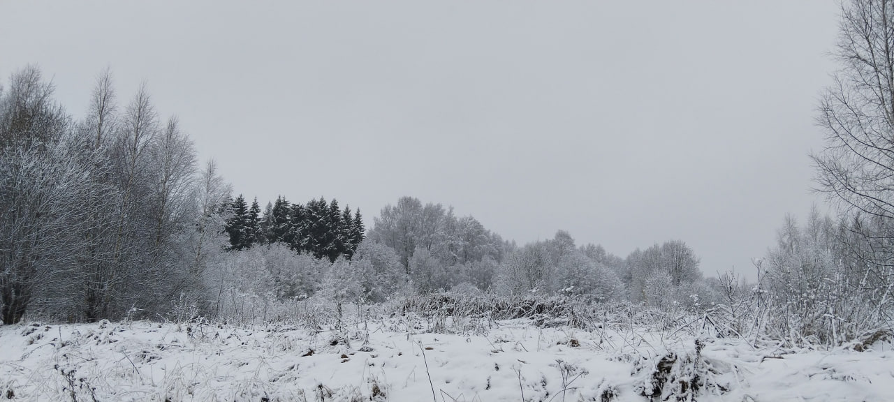 Стало известно, где в Тверской области есть снег Стало известно, где в Тверской области есть снег