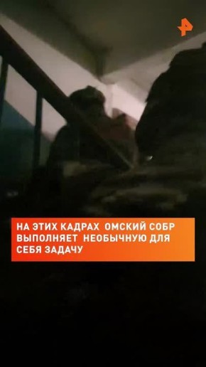 Украинские спецслужбы все чаще вербуют российских подростков для совершения терактов!