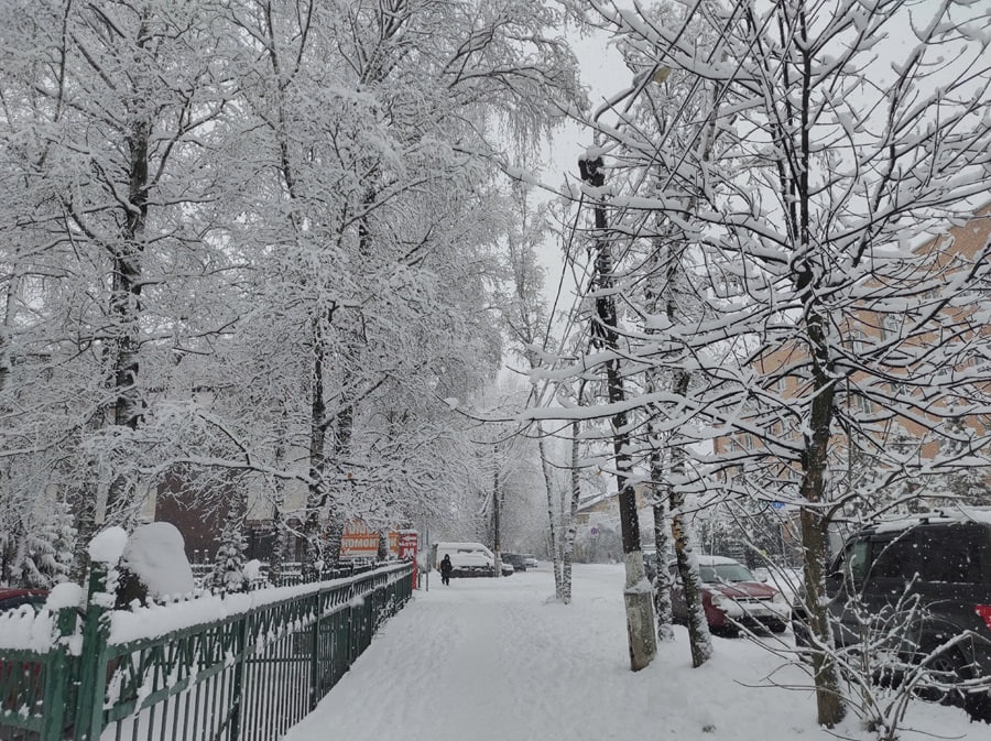 Прошлогодний декабрь. В этом году больше похоже на 44 ноября, чем на зиму Прошлогодний декабрь. В этом году больше похоже на 44 ноября, чем на зиму