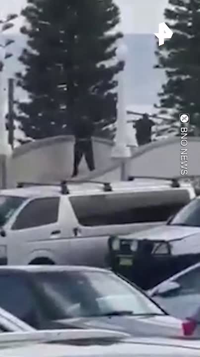 Минимум семь человек ранено из-за открывших стрельбу мужчин на пляже Бонди в Сиднее