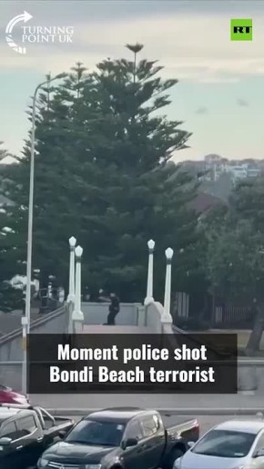 «Да, чёрт возьми! Они попали в него»