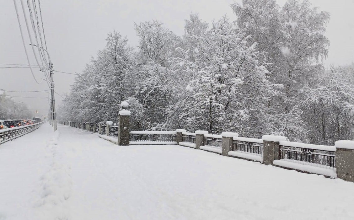 Прошлогодний декабрь. В этом году больше похоже на 44 ноября, чем на зиму Прошлогодний декабрь. В этом году больше похоже на 44 ноября, чем на зиму