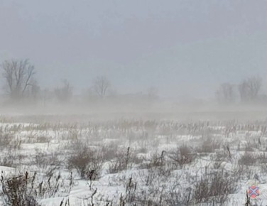 Четыре пастуха замёрзли насмерть, спасая скот, в Волгоградской области