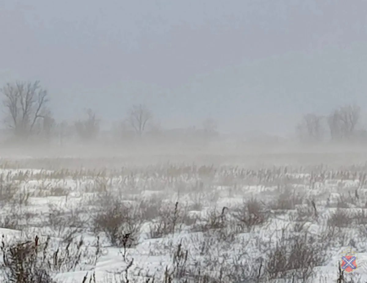 Четыре пастуха замёрзли насмерть, спасая скот, в Волгоградской области