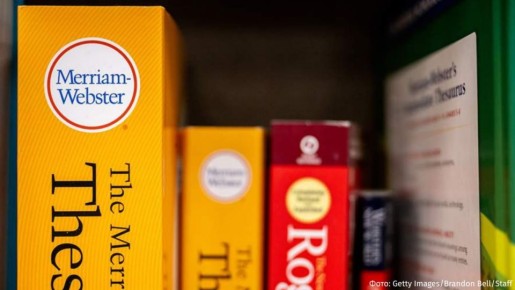  2025    &quot;&quot; (slop)    ,   