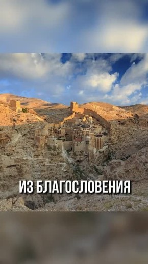 Роман Голованов: Врачи хватались за голову: что за чудотворная пальма Саввы Освященного?