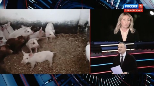 ������� �����: ��������