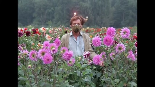 ������� ������: ������ "�����":. ���� �� ������� ������������ ����� ����������, ��� ���� ������� � ������������� ��������� �� ������� ��������