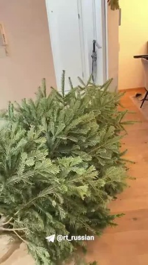 � ���� ������, ����� �� �������� �� ���� ����� ������ ��� ������������ � ��������� ��� ������