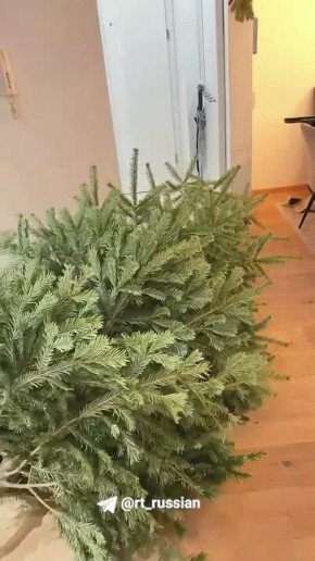 � ���� �������� �� ��������� ������, ������� � ���������� ������� �������� � �������� �������