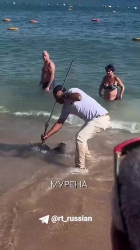 ������ ������ �� ���������� � ������