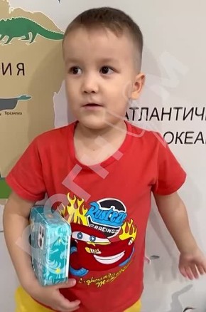 ������ ��������: ������� �� ���������� ������� ���� ������ �������, ������������ ��� ����������� ���������