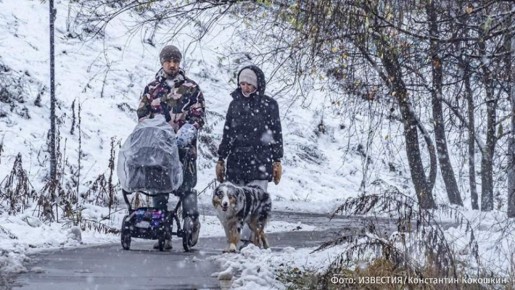 "������ ������ �����������": ����� � ������ ��������� ���������������� ��������, � � ������ ���� ����������� ������ ������, ���������� ��� �� ���������� ������� ����������