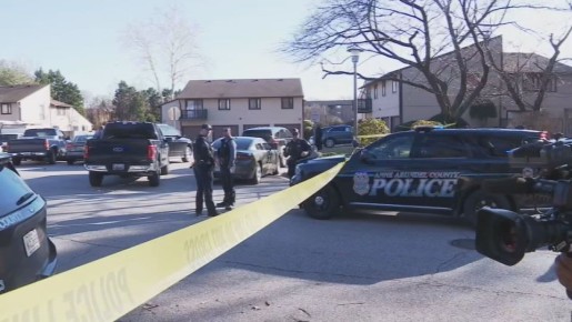 ������ ������������ ������� ��� (ICE) ����������� � ����������� � ����� ��������