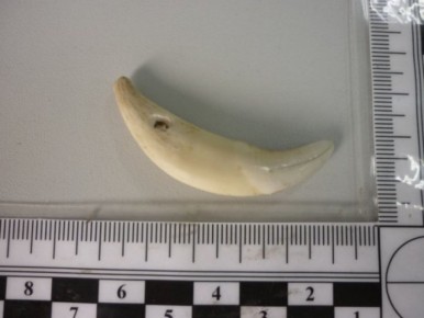 ����� ����� � �������, ��� �� ����� ����� �����: ����������� ������ ��������� �������� � ������������ ������� � ����������, ������������ � �����