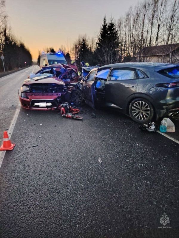 Трое, включая подростка, погибли при лобовом ДТП на трассе в Ленобласти, сообщил источник РЕН ТВ
