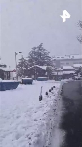 В США отменили более 1,6 тыс