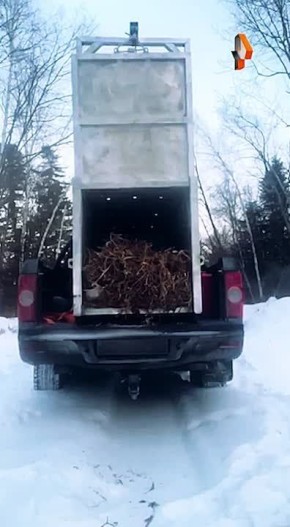 ���������� �������� �� �����, ������������ � ���� �������, ��������� �� ������� � ������ �����